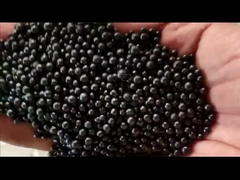 Linia produkcyjna nawozów organicznych