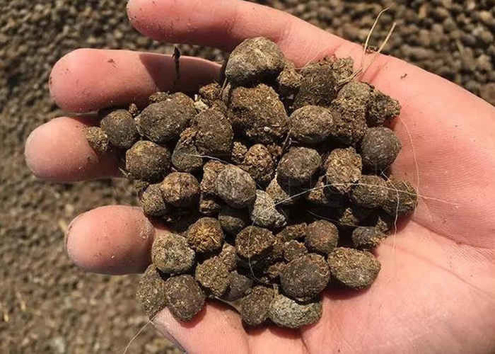 Granulator nawozów w granulacji materiałów organicznych takich jak siana, odpady konne, resztki roślinne i kwas fulwowy